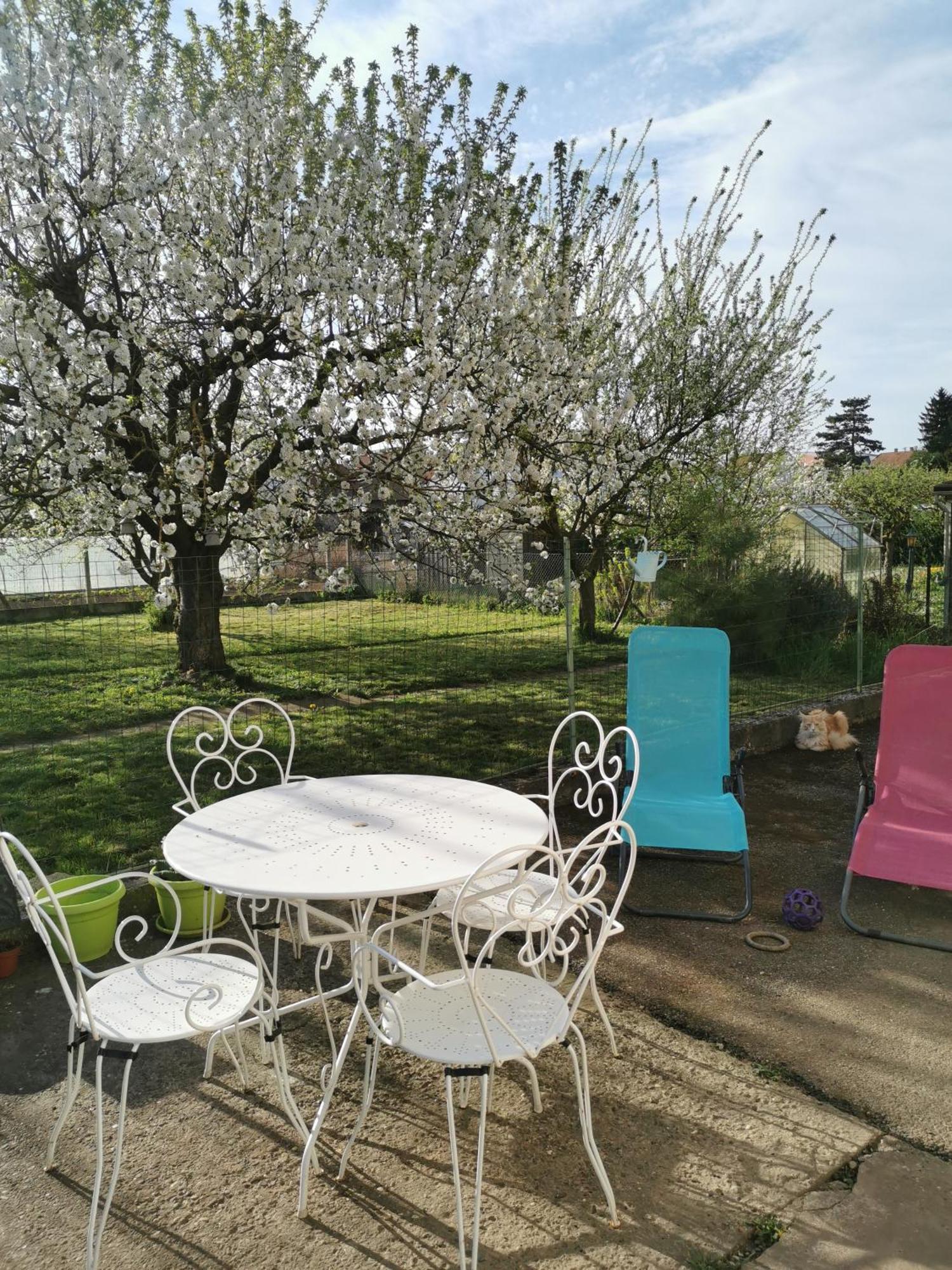 Maison Les 3 Roses Wolfisheim Buitenkant foto